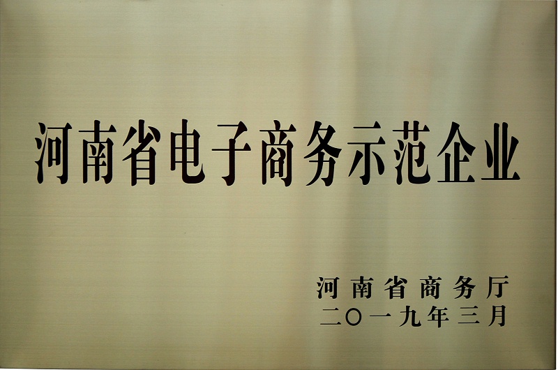河南省电子商务示范基地 (1)